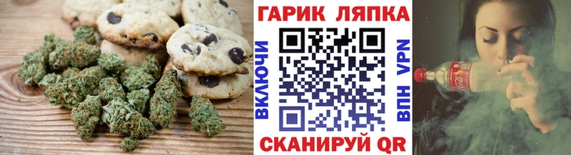 где можно купить наркотик  гидра зеркало  Canna-Cookies марихуана  Лахденпохья 