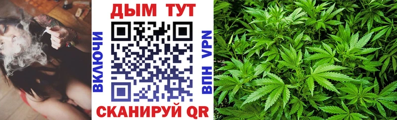 Каннабис семена  купить наркотик  Лахденпохья 